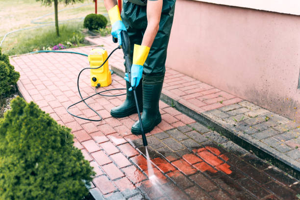 Animal Enclosure Cleaning in Russell, PA